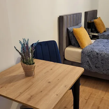 Apartament As Elite Kozielska Parking Gliwice